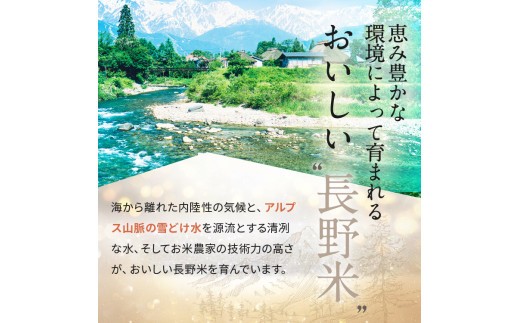 信州米 こしひかり 白米