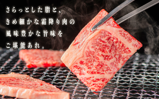 熟成 しまね和牛 焼肉セット(ロース 約180g、もも 約180g、カルビ 約180g)計540g【JK-7】