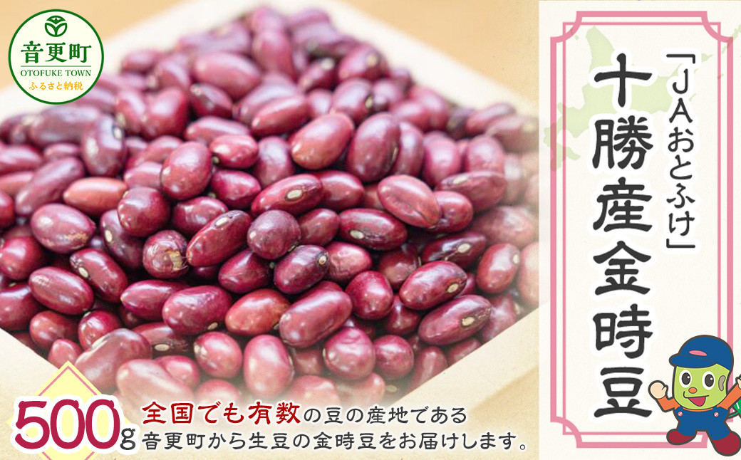 
            令和6年産 金時豆500g「JAおとふけ」【B104】 きんときまめ 北海道
          