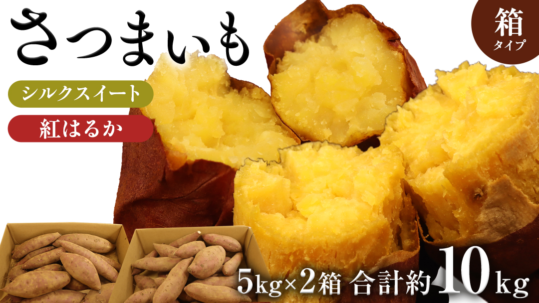 さつまいも 【 シルクスイート ・ 紅はるか 】 5kg ( 箱込 )の 2箱セット さつまいも 詰合せ 国産 農園 野菜 サツマイモ 芋 期間限定 デザート スイーツ おやつ 料理 味噌汁 煮物 生芋