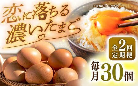 【全2回定期便】【特選卵】素直な恋たまご 30個 [JAP018]