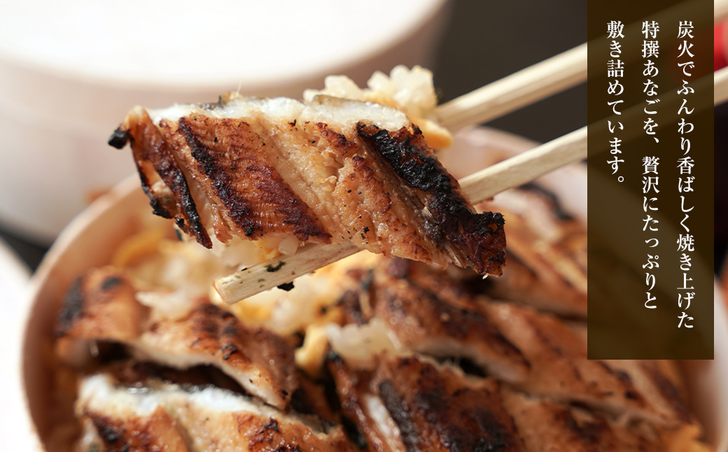 特撰あなご丼 わっぱ入り ２食セット 冷凍　あなごめし 淡路島