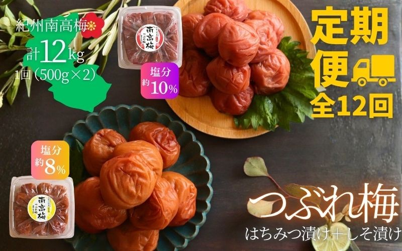 
                  【定期便全12回】 【塩分 はちみつ約8％ しそ漬け約10％】和歌山県紀州南高梅 つぶれ はちみつ漬け＆しそ漬け 訳あり 500g×2｜甘口・爽やか梅干 梅 うめ 減塩　agrjpn-tkb003
                