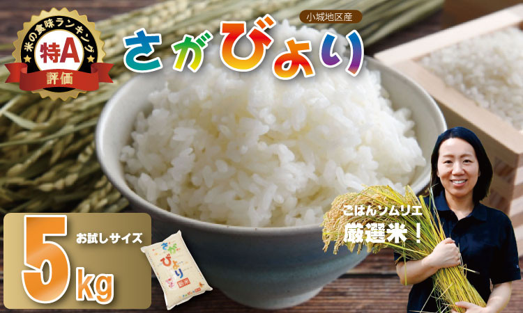
ごはんソムリエ厳選米 佐賀ブランド米 さがびより「お試しサイズ」【5kg】肥前糧食

