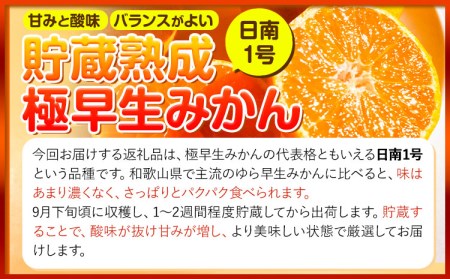 貯蔵熟成 極早生みかん(日南1号) 約5kg S～2L 家庭用 サイズ混合 横川果樹園