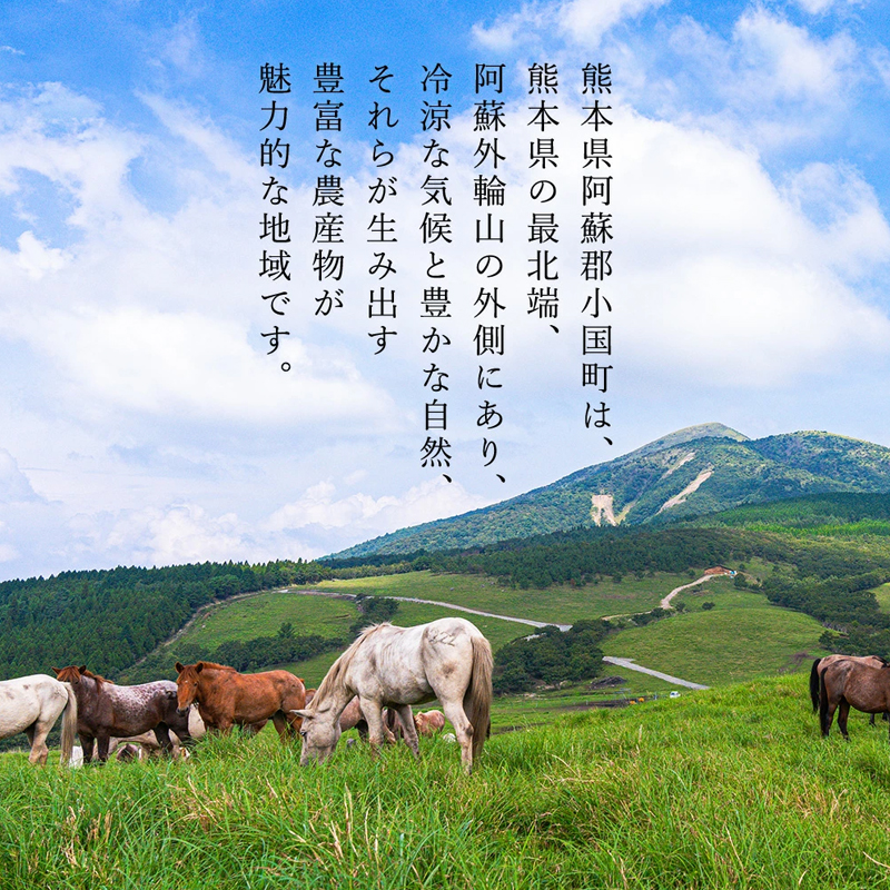 【阿蘇牧場】小国馬 馬刺し3種 霜降り 赤身 大トロ トロ 300g（専用醤油付き 150ml×1本）