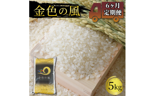 
米 定期便 5kg 6ヶ月 精米 一等米 金色の風 岩手県産 ご飯 白米
