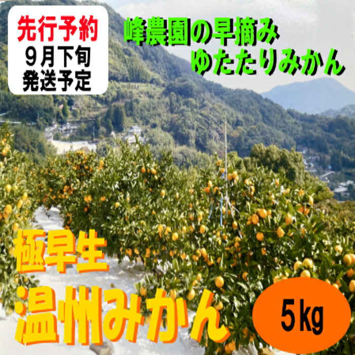 【ふるさと納税】峰農園の早摘みゆたたりみかん 5kg　太良町　返礼品　太良みかん　佐賀みかん　極早生みかん　今季最初　甘い　産地直送　予約 佐賀県 太良町 M94
