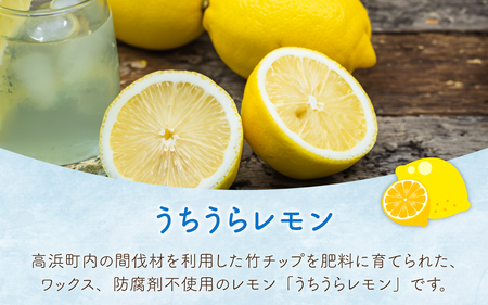 若狭高浜レモンいわし缶 24缶セット (いわし味付)