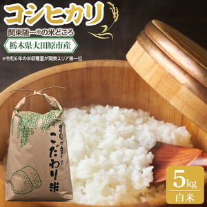 【令和7年産 】栃木県 大田原市産 コシヒカリ 白米 5kg ｜コメ お米 銘柄米 農家直送 産地直送 産直 数量限定