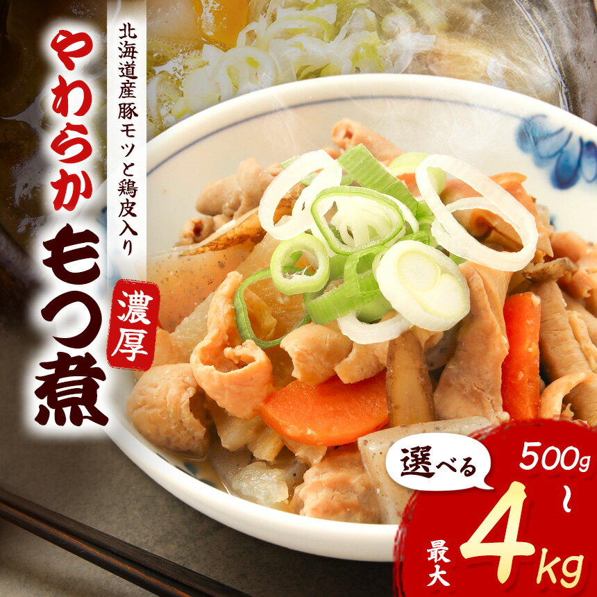 【ふるさと納税】 やわらかもつ煮（500g×2P～8P）｜ やきとりせがれ 肉 にく お肉 もつ煮 自慢 パーティー 食卓 おかず 真岡市 栃木県 送料無料 送料無料 定期便 3回 6回 単品 栃木県