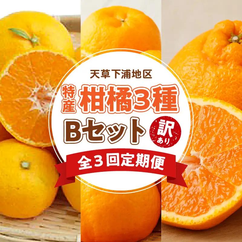 S040-T03A_【定期便3回】天草 下浦地区特産の柑橘3種Ｂセット(訳あり)【先行受付】