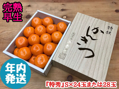 年内発送 完熟早生 有田みかん 化粧小箱 特秀 S サイズ 24玉または28玉入 和歌山 南泰園 みかん
