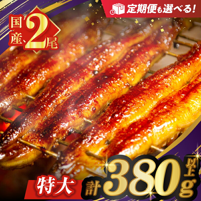【ふるさと納税】≪選べる内容量≫ うなぎ 蒲焼 特大 2尾 さんしょう たれ付き 計380g以上 総重量1.14kg以上 定期便 丑の日 国産 鰻 ウナギ ひつまぶし うな重 贈り物 ギフト うなぎ長焼 鰻楽 小分け 宮崎県 都農町 送料無料 レビューキャンペーン