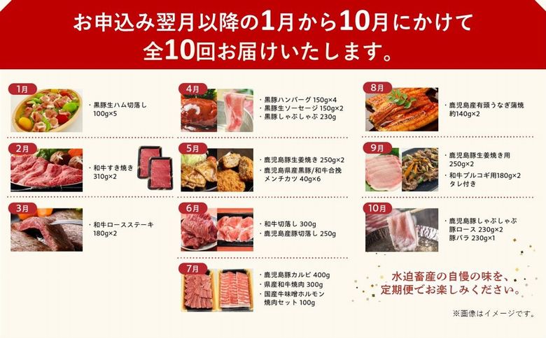 【全10回】鹿児島自慢の豚・牛・うなぎ!10回満足定期便 027-40