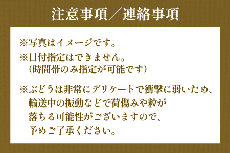 【先行予約】【頒布会5回コース】山の幸満喫！限定頒布会【2024年7月より発送開始予定】 [G-3204]