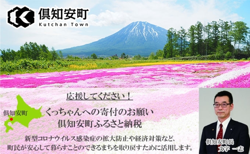 北海道 ニセコ東急グラン・ヒラフスキー場 ヒラフHANAZONO共通1日券（3枚） スキー リフト券 スポーツ 羊蹄山 雪 パウダースノー ニセコ 倶知安町 スキーチケット チケット