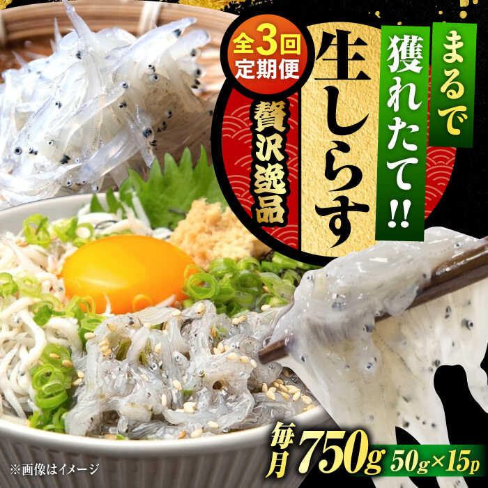 【ふるさと納税】【全3回定期便】鮮度抜群 生しらす 50g×15個 しらす 釜揚げ 冷凍 シラス 小分け パック 干し 魚介類 鮮魚 海鮮 海産物 セット 詰め合わせ ギフト 広島県産 人気 送料無料 江田島市/三島水産株式会社[XCN014]