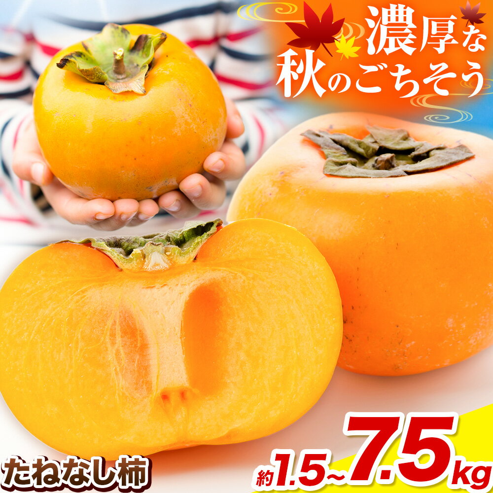 【ふるさと納税】お試し規格登場!! 濃厚な秋のごちそう たねなし柿 約1.5kg 〜 7.5kg 《2025年9月中旬-11月上旬頃出荷(土日祝除く)》 和歌山県 紀の川市 種なし柿 産地直送 柿 果物 フルーツ 2L〜Mサイズ カキ (刀根早生柿/平核無柿）