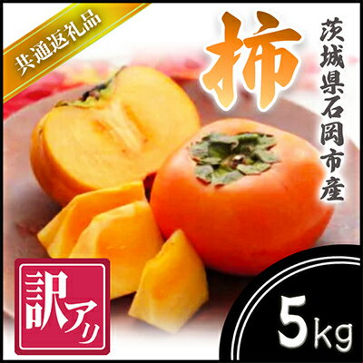 【ふるさと納税】【2025年10月より順次発送予定】訳あり　柿　5kg(県内共通返礼品:石岡市産)【配送不可地域：離島・沖縄県】 (BR069)