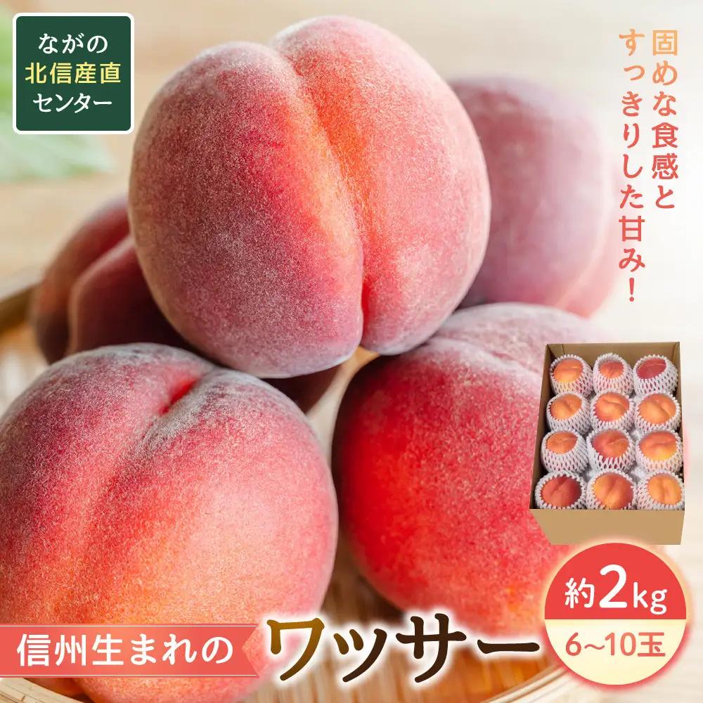 【※2027年7月以降発送分 先行受付】長野市産 旬の桃 ワッサー 約２kg | 桃 もも モモ もも