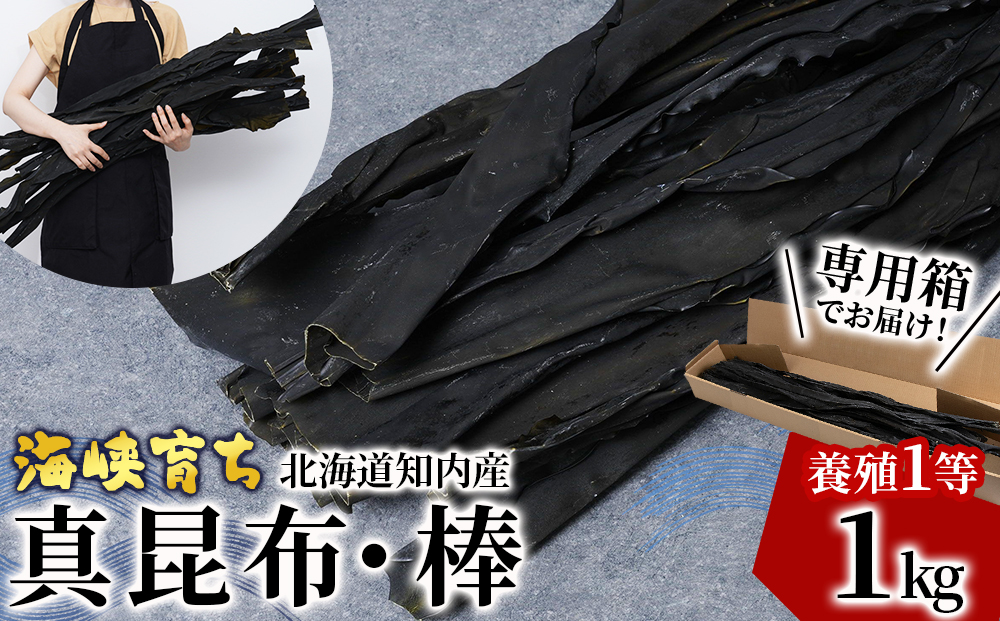 〈予約受付〉1等級 乾燥昆布 1kg 【上磯郡漁業協同組合】 知内 出汁 だし 北海道 コンブ こんぶ