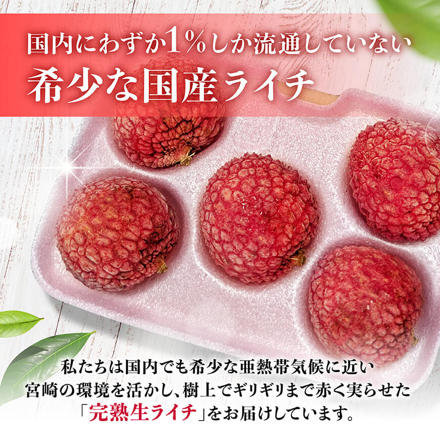 【令和8年産】川南町産ライチ（大粒）10粒(5粒×2パック) 【 国産ライチ フルーツ デザート 宮崎県産 】 [C03203]