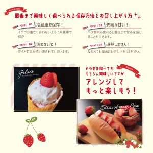 いちご4品種スペシャルセット　いちご