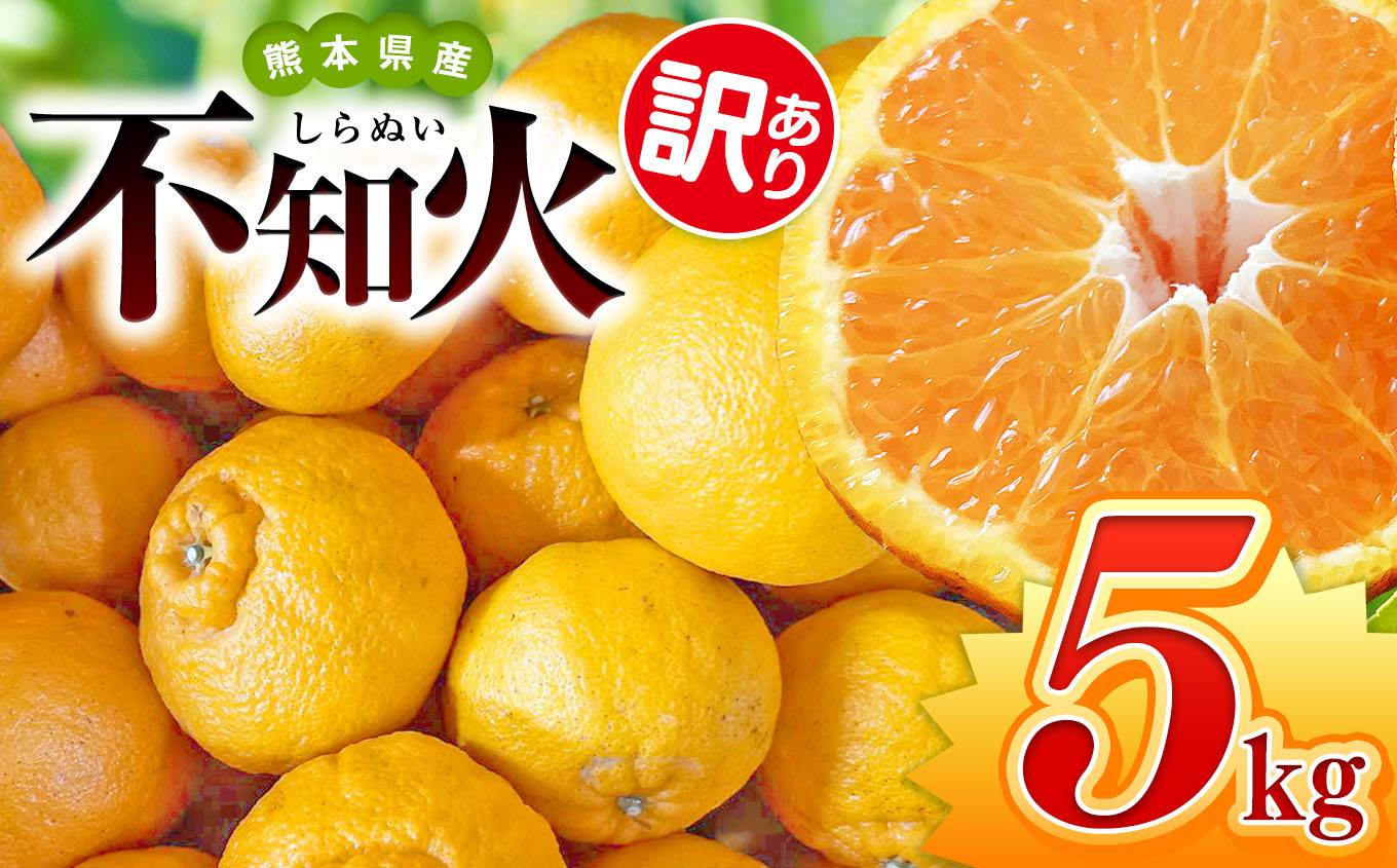 
            【 先行予約 】 訳あり 不知火 約 5kg 池田農園 | 柑橘 みかん フルーツ 和製 わけあり 訳アリ 家庭用 果物 熊本県産 熊本県 熊本 くまもと 和水町 なごみまち なごみ ミカン 柑橘類 果物 フルーツ 
          