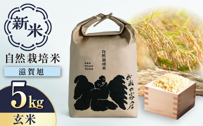 
            【新米：令和6年産】自然栽培 在来種 滋賀旭 5kg 玄米　滋賀県長浜市/株式会社お米の家倉 [AQCP040] 米 お米 玄米 新米 5kg 
          