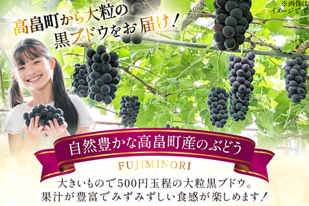 【期間限定発送】 ぶどう 大粒ぶどう 藤稔 2房 約 1.3kg [Ｈinataぶどう園 山形県 高畠町 tk06ayt190002] ぶどう ブドウ 葡萄 ふじみのり 大粒 種なし くだもの 果物 