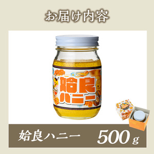 a1002-B 《期間限定！》姶良ハニー(500g)【原電設工業】姶良市 国産 ハチミツ はちみつ 蜂蜜 百花蜜 蜜 常温 常温保存
