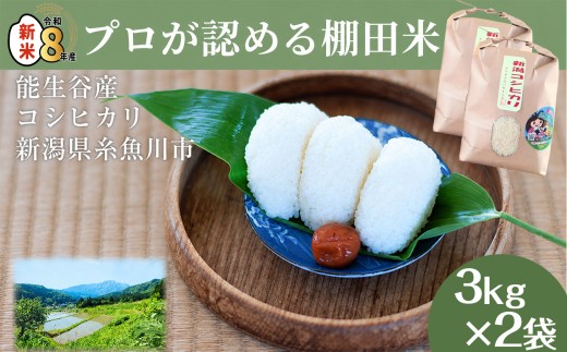 令和8年産新米 新潟県能生谷産コシヒカリ 6kg（3kg×2袋）プロも認める棚田米 農家直送 2026年産 JATs有限会社【新潟県 糸魚川市 米 お米 こめ コメ ご飯 ライス ふるさと納税米 ブランド米 おすすめ ギフト 6キロ（3キロ×2袋）精米 白米 人気 食品】