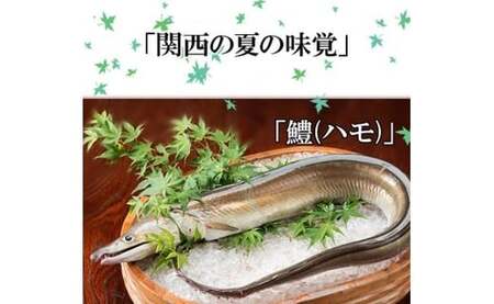 185 プレミア和歌山の辰ヶ鱧！鱧しゃぶセット２～３人前(B185-2)    