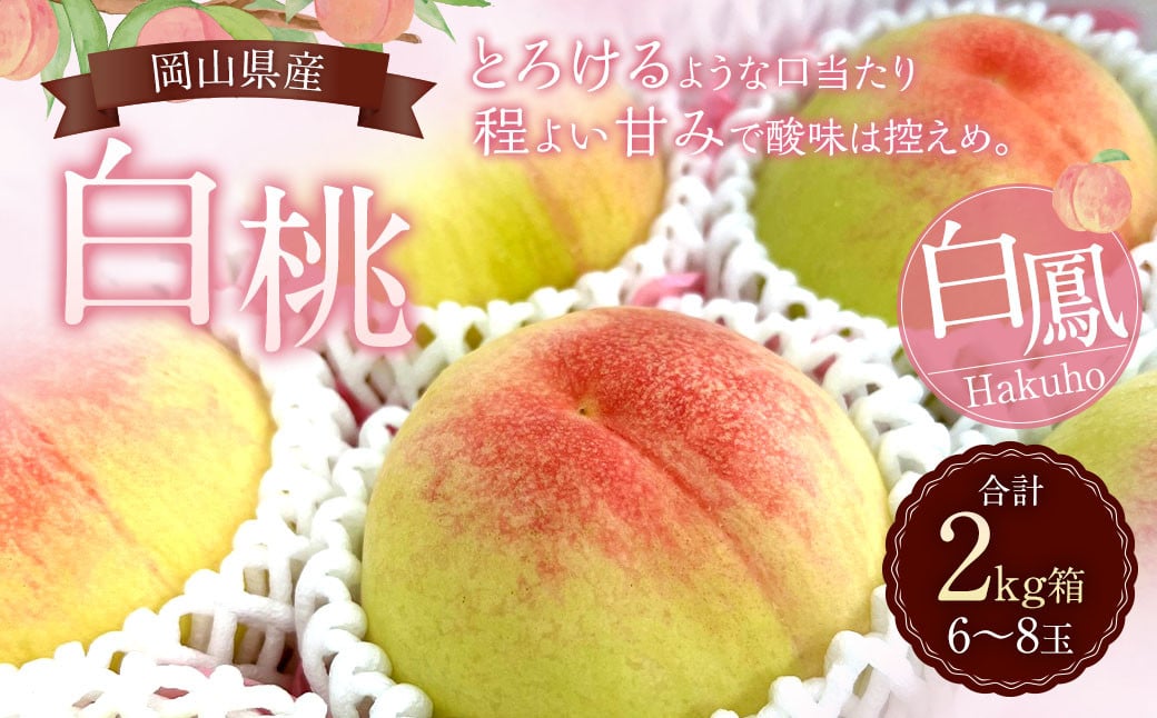 
            岡山県産 白桃（白鳳） 2kg箱（6～8玉） 【2025年7月上旬～下旬発送予定】 ／ 桃 もも 白鳳 フルーツ 果物 くだもの デザート
          