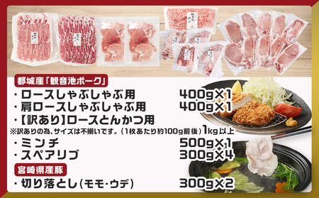 豚肉バラエティ6種4.1kgセット※訳あり入り_AC-9218_(都城市) 都城産豚 観音池ポーク ロース・肩ロースしゃぶしゃぶ用/ミンチ/スペアリブ/【訳あり】ロースとんかつ用 訳あり 宮崎県産豚切