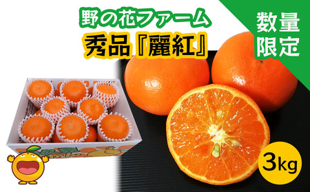 【先行予約・数量限定】野の花ファーム  秀品 麗紅 3kg みかん ミカン オレンジ 柑橘類 大分県産 九州産 津久見市 国産