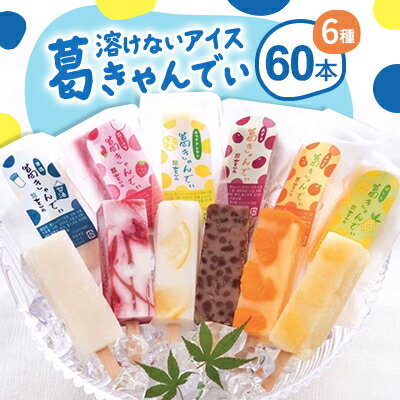 【ふるさと納税】溶けないアイス 葛きゃんでぃ　60本入り【配送不可地域：離島】【1504836】