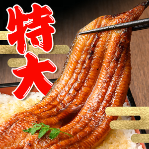 i1172-B ＜定期便・計3回(隔月)＞＼特大サイズ／鹿児島県産 うなぎ蒲焼 2尾セット＜（約220g×2・計約440g）×全3回＞ 定期便 たれ 山椒付きうなぎ 鰻 ウナギ 特大 特大サイズ 約2