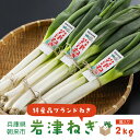 【ふるさと納税】朝来市特産「岩津ねぎ」2kg（箱入り）| 先行予約 先行受付 ねぎ ネギ 葱 岩津ねぎ 長ねぎ 長ネギ 長葱 2キロ 日本三大ねぎ 特産 新鮮 野菜 朝来市産 兵庫県 朝来市 AS4AC3