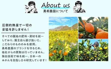 先行予約 早生みかん 約 5kg サイズ混合 和歌山県 有田みかん  2025年11月中旬頃発送