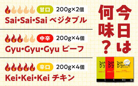 レトルトカレー「ボングスタ！」１０個詰め合わせ