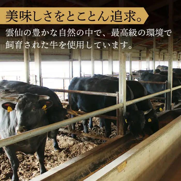 長崎和牛 サーロインステーキ 約1.0kg【株式会社 OGAWA】[QBI004] サーロインステーキ 九州 長崎 佐々町 ふるさと納税 おすすめ