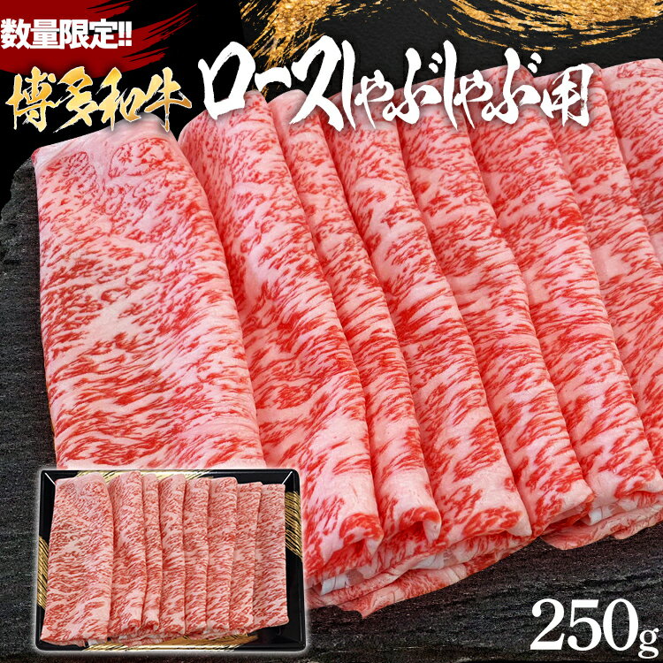 【ふるさと納税】数量限定 博多和牛ロースしゃぶしゃぶ用 250g お取り寄せグルメ お取り寄せ 福岡 お土産 九州 福岡土産 取り寄せ グルメ 福岡県
