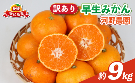 訳あり 早生 みかん 9kg 河野農園 温州みかん 早生みかん 早生温州 温州 蜜柑 mikan 愛媛みかん 愛媛蜜柑 愛媛ミカン 果物 くだもの フルーツ おすすめ 人気のみかん 訳アリ 訳あり品 訳有り わけあり 柑橘 農家直送 産地直送 数量限定 先行予約 国産 愛媛 宇和島 B010-147003