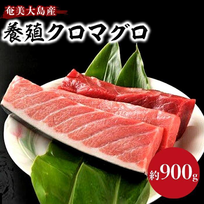 【ふるさと納税】奄美大島産養殖クロマグロ 4柵セット 900g以上 大トロ 中トロ 赤身 冷凍 | マグロ 約900g 4柵 鮪 刺身 養殖 海鮮丼 手巻き寿司 魚介類 海鮮 高級 お取り寄せ グルメ ギフト おつまみ 鹿児島県 瀬戸内町 黒マグロ 送料無料 瀬戸内 奄美 奄美大島 鹿児島 九州