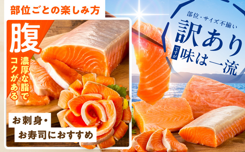 サーモン 定期便 1kg×全3回【ポーション 訳あり サイズ不揃い 刺身 海鮮丼 さーもん サラダ カルパッチョ 鮭 さけ シャケ しゃけ 人気 小分け 冷凍 家計応援】 099Z346_イメージ5
