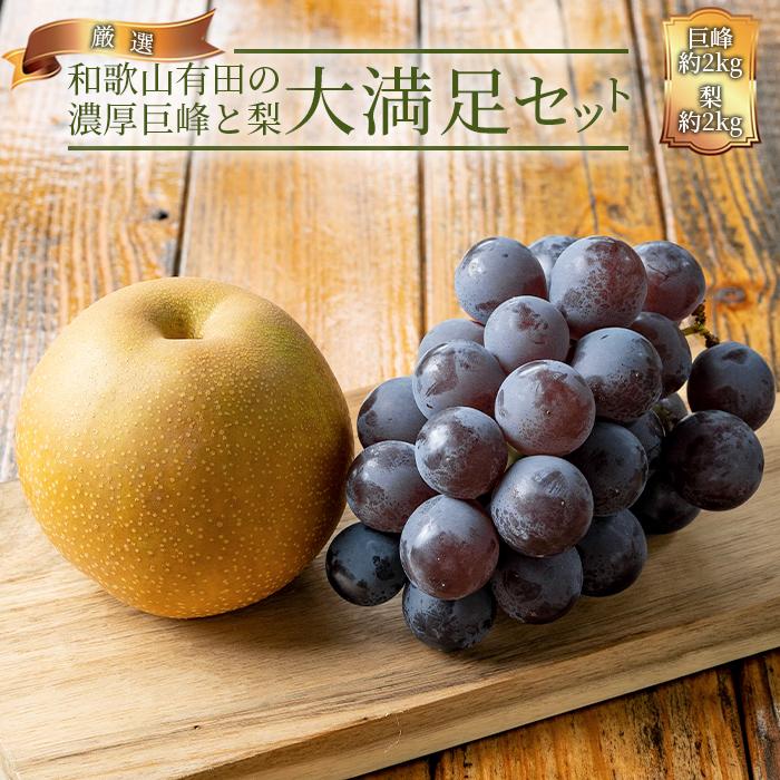 【ふるさと納税】農家直送 和歌山有田の朝採り 巨峰 と 梨 大満足セット［2026年・先行予約］ | 先行予約 和歌山 果物 くだもの フルーツ 巨峰 ぶどう 梨 合計4kg ブランド 取り寄せ ご当地 期間限定