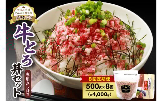 【8回定期便】人気の牛とろ丼セット 500g 専用タレ付き_S006-0172