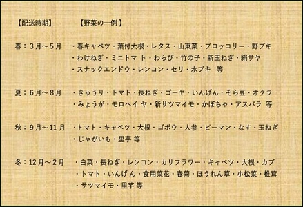 【年４回定期便】鴨川の朝採れ野菜･｢旬｣を味わうセット [0040-0004]